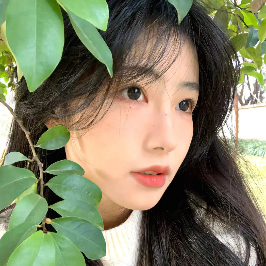在线爱 封面